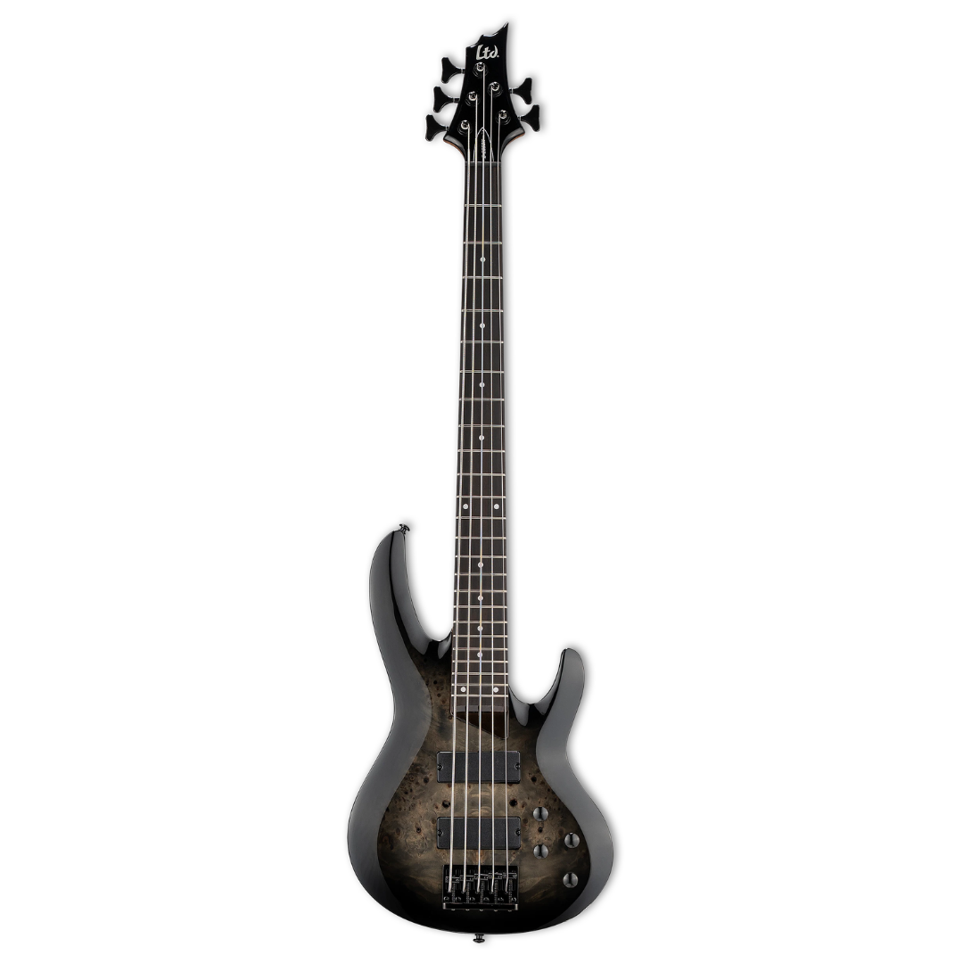 Bajo LTD B-205DX Black Burts