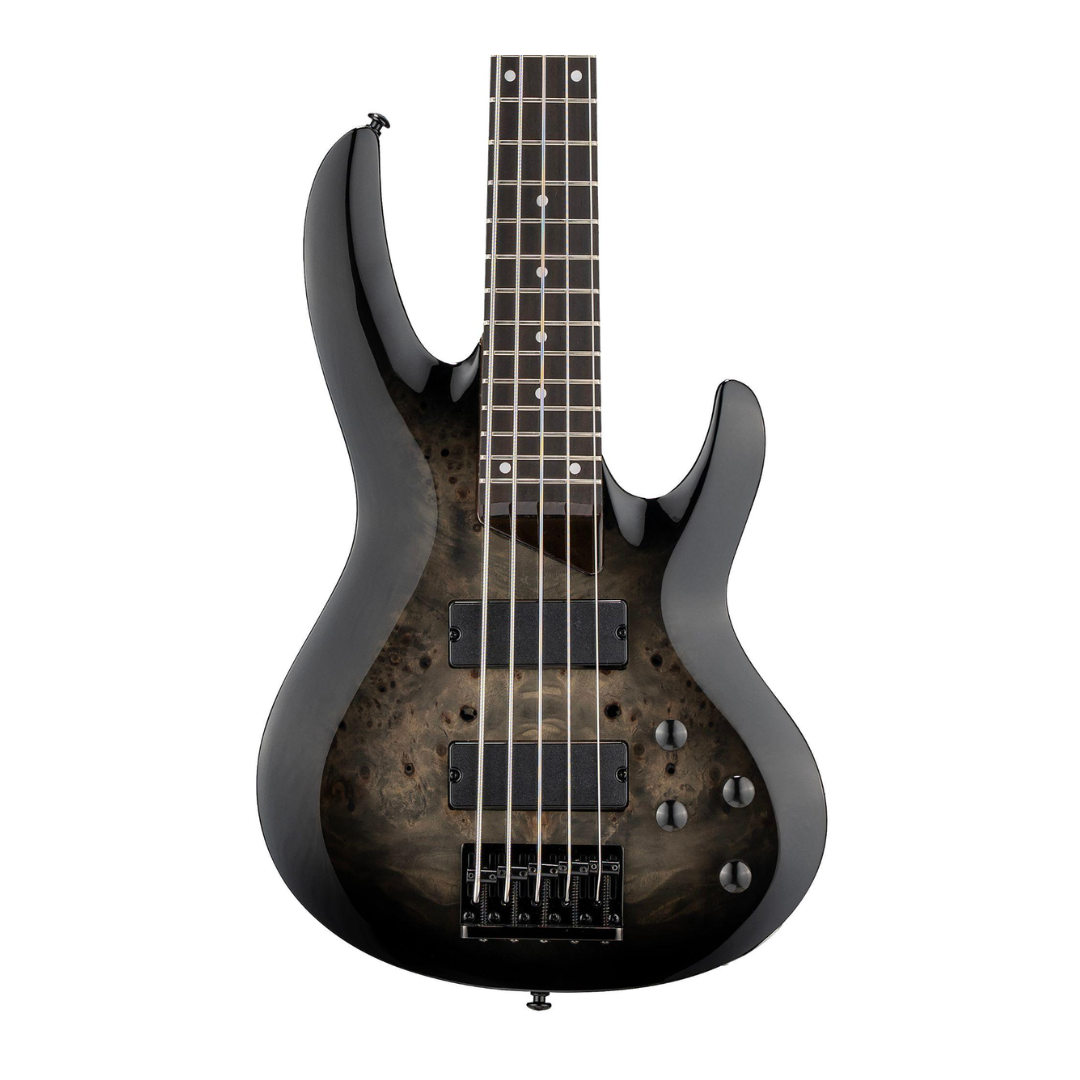 Bajo LTD B-205DX Black Burts