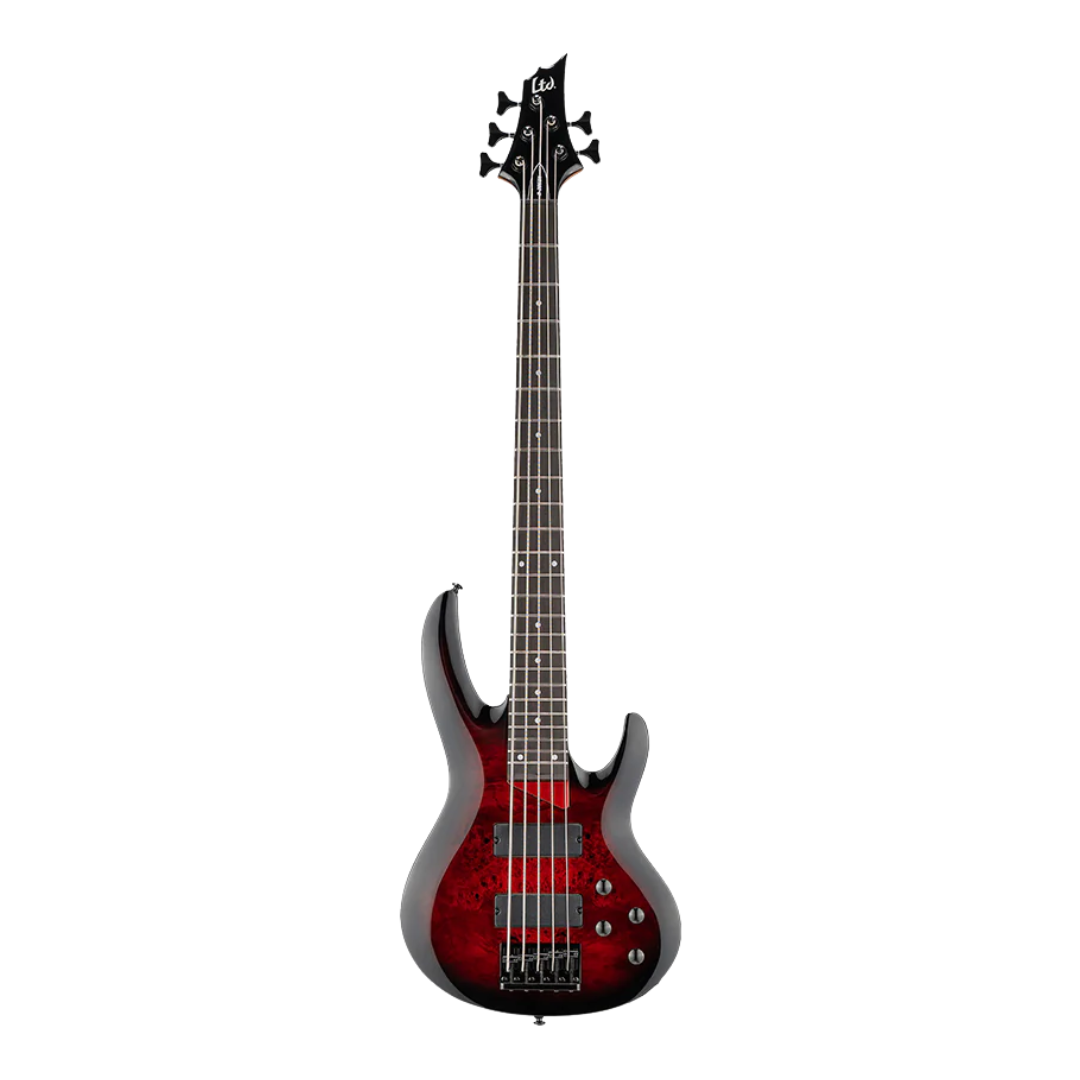 Bajo LTD B-205DX Red Burts