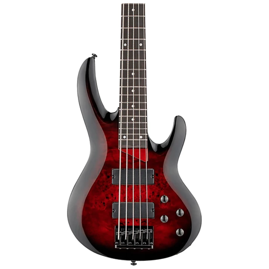 Bajo LTD B-205DX Red Burts